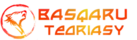 basqaru teoriasy